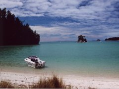 Einer der vielen Strände, Abel Tasman NP Einer der vielen Strände, Abel Tasman NP