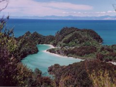 (Wander-)Aussicht auf das Meer, Abel Tasman NP (Wander-)Aussicht auf das Meer, Abel Tasman NP