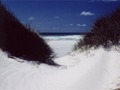 Weisser Quarzsand, 90 mile beach - Westseite Weisser Quarzsand, 90 mile beach - Westseite