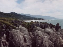 Pfannkuchen Felsen, Paparoa NP Pfannkuchen Felsen, Paparoa NP