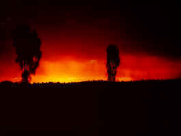 Afterglow