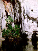 Geikie gorge