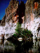 Geikie gorge