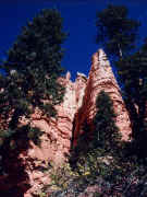 Bryce Canyon - gorge
