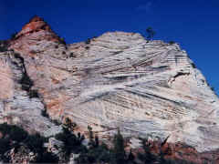 Zion NP - Scratch rock
