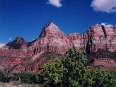 Zion NP - Springdale