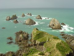 Nugget Point, Catlins coast Nugget Point, Catlins coast