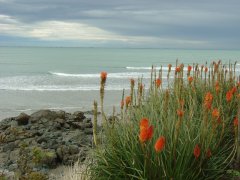 Collac bay, Riverton Collac bay, Riverton
