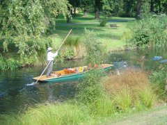 Der Botanische Garten mit dem Avon Fluss, Christchurch Der Botanische Garten mit dem Avon Fluss, Christchurch