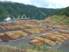 Holz bereit zum verladen, Picton Holz bereit zum verladen, Picton