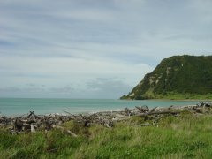 Naturstrand, Te Araroa Naturstrand, Te Araroa