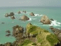 New Zealand 2006