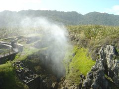 Das kleine blow whole, Pancake Rocks Das kleine blow whole, Pancake Rocks