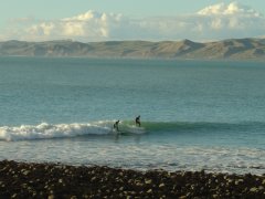 Surfer am Strand von Raglan Surfer am Strand von Raglan