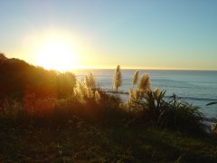 Sonnenuntergang am Strand von Raglan Sonnenuntergang am Strand von Raglan