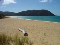 Totaranui beach Totaranui beach