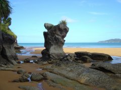 Totaranui beach Totaranui beach