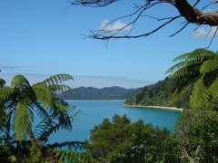 Awaroa Inlet Awaroa Inlet
