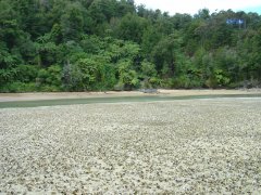 Awaroa Inlet Awaroa Inlet